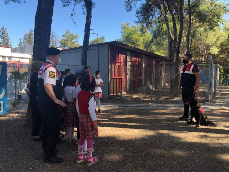 Jandarma, öğrencilerle birlikte sokak hayvanlarını besledi 